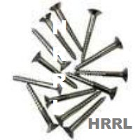 SS Polished Wood Screws Exporter